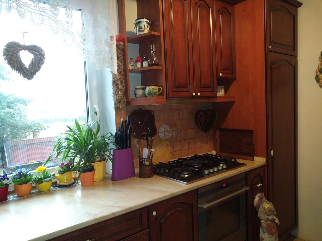 Ubytovani Irena Benesov  Extérieur photo